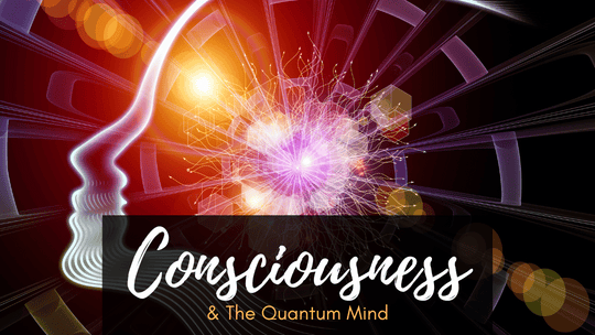 Consciousness and the Quantum Mind