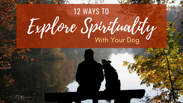 12 Ways to Explore Spirituality With Your Dog