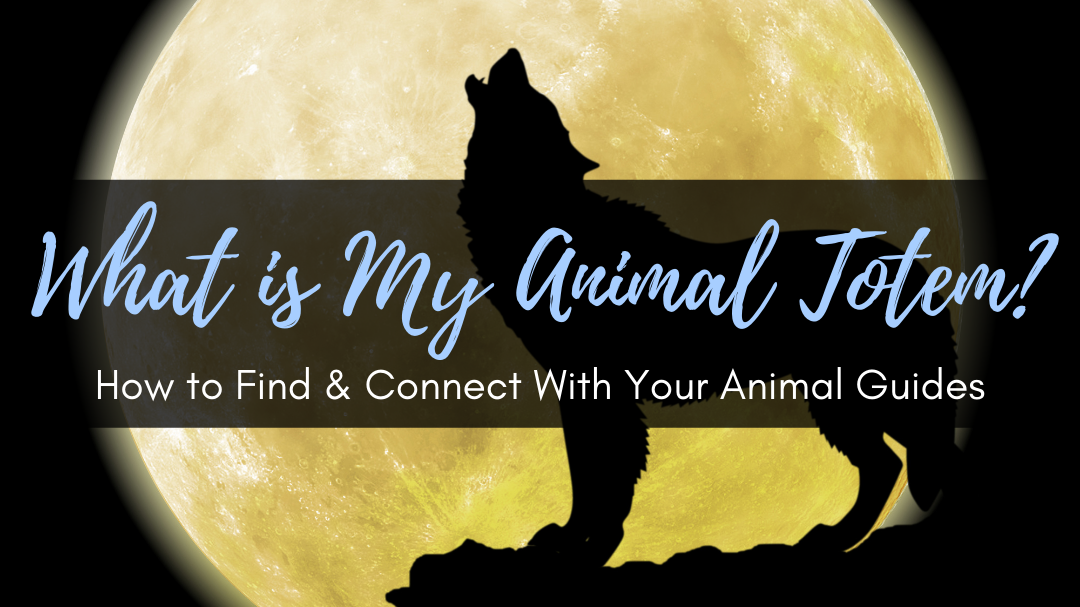 What is My Animal Totem? How to Find & Connect With Your Animal Guides ...