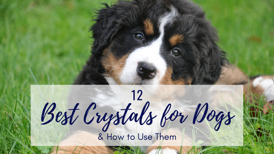 Best Crystals for Dogs