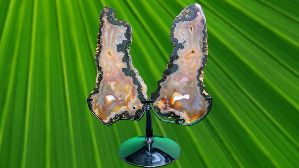 "SPREAD YOUR WINGS" Agate Matching Pair w Stand High Quality