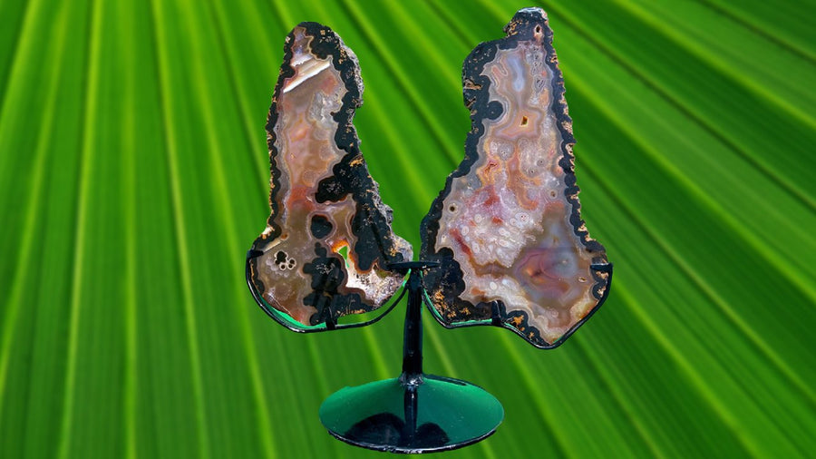 "SPREAD YOUR WINGS" Agate Matching Pair w Stand High Quality