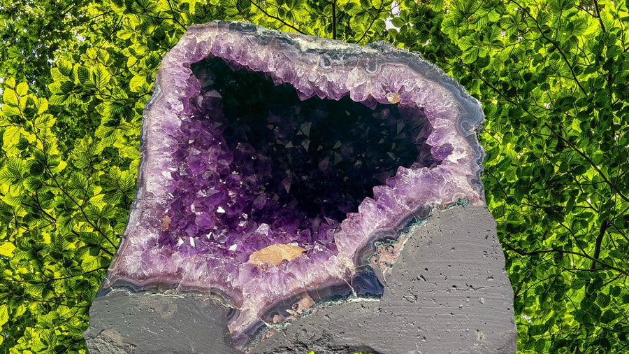 "WHY ARE WE HERE?" Amethyst Geode Cathedral 11.50 VERY High Quality AG-28