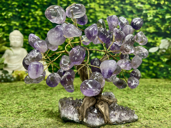 "BOUNTIFUL BONZAI" Amethyst Geode Gem Trees 9.00 High Quality Brazil T-12