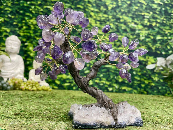 "BOUNTIFUL BONZAI" Amethyst Geode Gem Trees 9.00 High Quality Brazil T-12