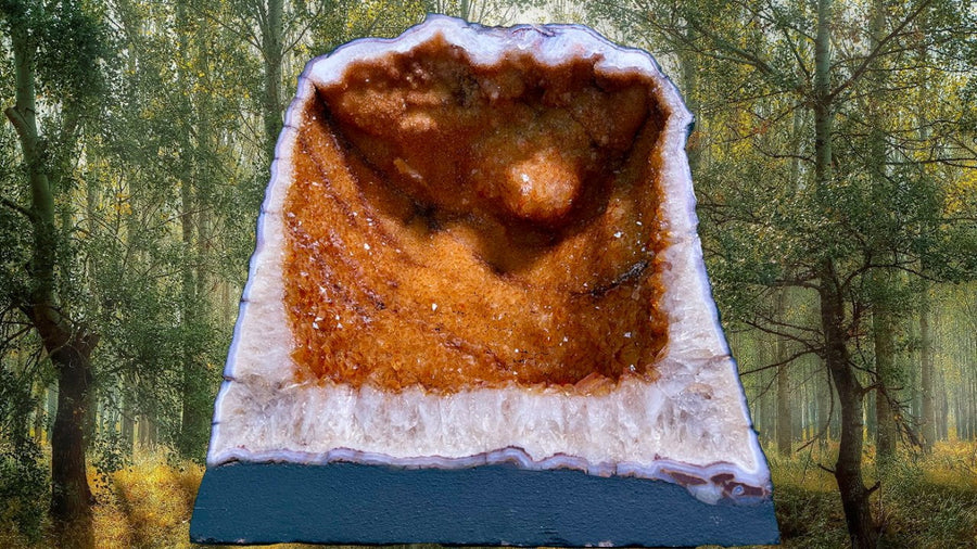 "GOLD MINE" Citrine Geode Cathedral 15.25 High Quality Feng Shui CG-81