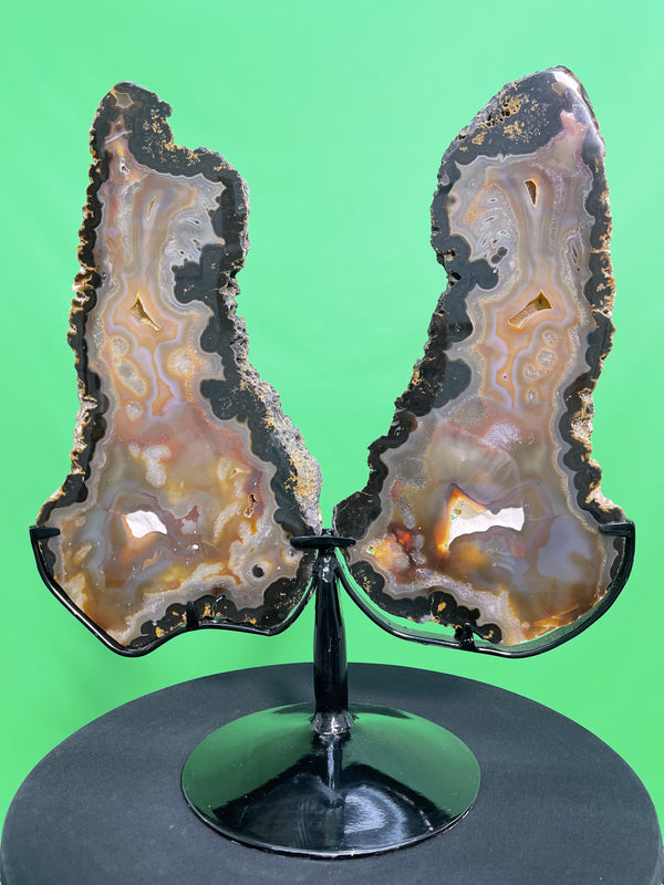 "SPREAD YOUR WINGS" Agate Matching Pair w Stand High Quality