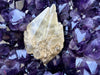 "MAGIC MOUNTAIN" Huge Amethyst Geode 42.00 Very High Quality Crystal XA-1