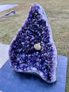 "MAGIC MOUNTAIN" Huge Amethyst Geode 42.00 Very High Quality Crystal XA-1