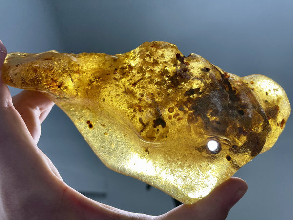 "MYSTERIES OF MOTHER NATURE" Natural Amber Specimen 7.00 Spectacularly Rare Mineral High Quality A-3