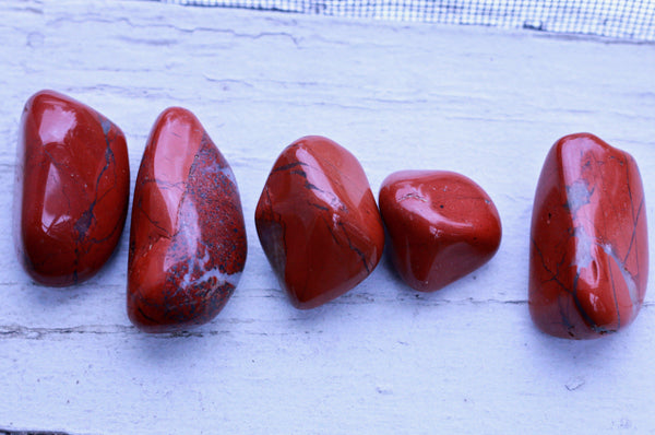 Red Jasper BLOOD OF MOTHER EARTH Endurance & Vitality Healing Gemstone