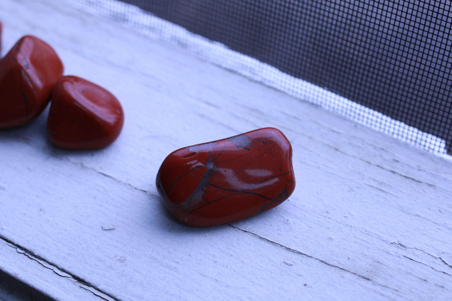 Red Jasper BLOOD OF MOTHER EARTH Endurance & Vitality Healing Gemstone