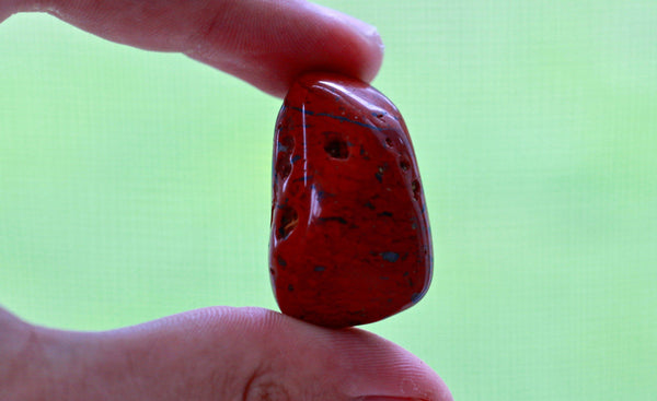 Red Jasper BLOOD OF MOTHER EARTH Endurance & Vitality Healing Gemstone