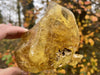 "RING OF FIRE" Natural Amber Specimen 6.00 Mega Rare Mineral High Quality A-6