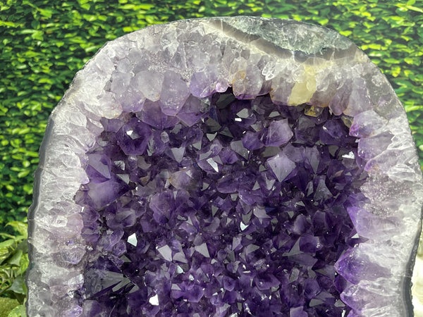 "FESTIVAL OF LIGHTS" Huge Amethyst Geode High Quality 23.00 Wide Cathedral NS-521