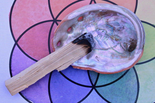 Organic Abalone Shell Cleansing Protecting Purification Balance