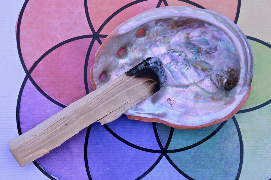 Organic Abalone Shell Cleansing Protecting Purification Balance