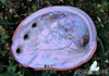 Organic Abalone Shell Cleansing Protecting Purification Balance