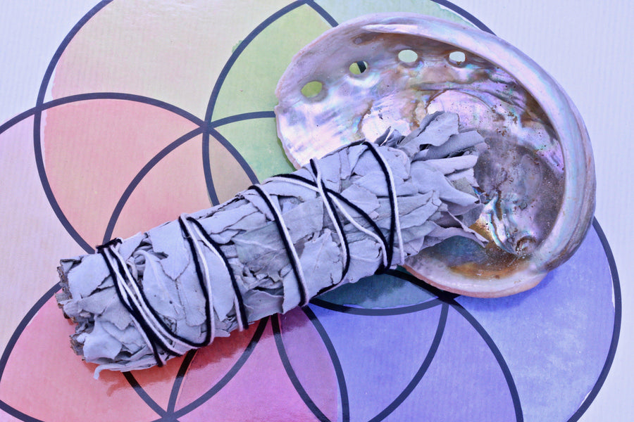 Sage Smudging Set With Abalone Shell