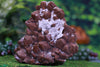 Super Seven Crystal Cluster w Calcite Striations Rare Mineral High Quality II-14s