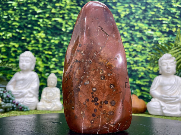 "INVIGORATING JOLT" High Quality Red Jasper Specimen 8.00 Rare Mineral NS-690