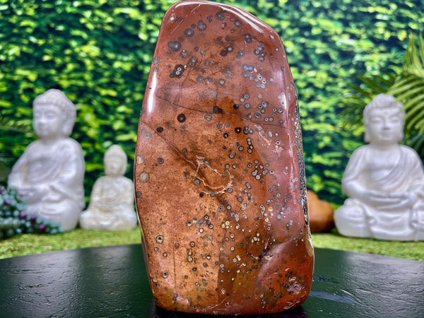 "CRAZY HORSE" High Quality Red Jasper Specimen 7.00 Rare Mineral NS-693