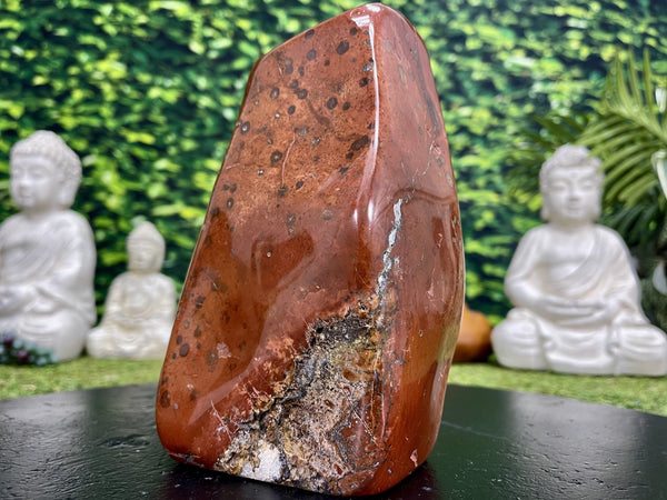 "CRAZY HORSE" High Quality Red Jasper Specimen 7.00 Rare Mineral NS-693