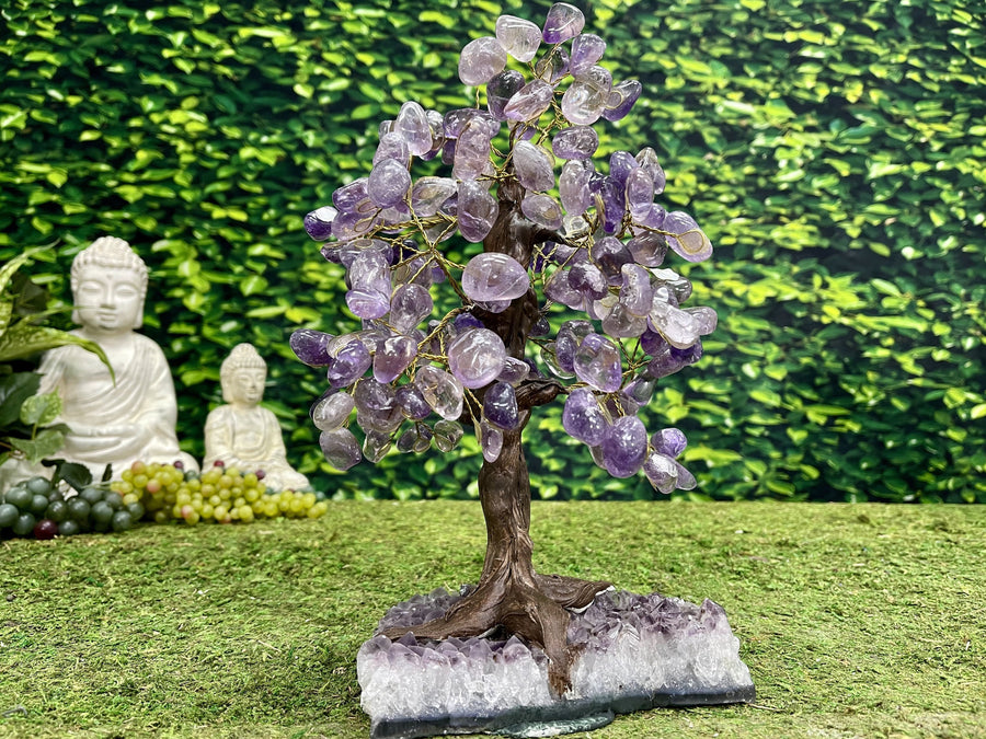 "SWEET SYCAMORE OF SUCCESS" Amethyst Geode Gem Trees 12.00 High Quality Brazil T-24