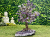 "SWEET SYCAMORE OF SUCCESS" Amethyst Geode Gem Trees 12.00 High Quality Brazil T-24