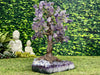 "SWEET SYCAMORE OF SUCCESS" Amethyst Geode Gem Trees 12.00 High Quality Brazil T-24