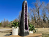 "BEACON OF BRILLIANCE" Amethyst Geode Cathedral 53.00 High Quality Brazil XS-3