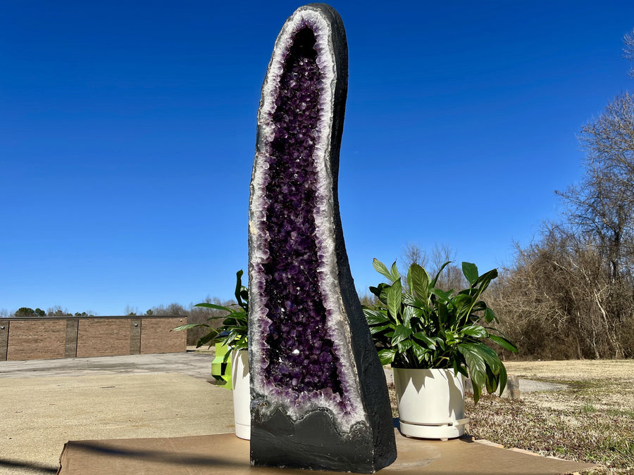 "BEACON OF BRILLIANCE" Amethyst Geode Cathedral 53.00 High Quality Brazil XS-3
