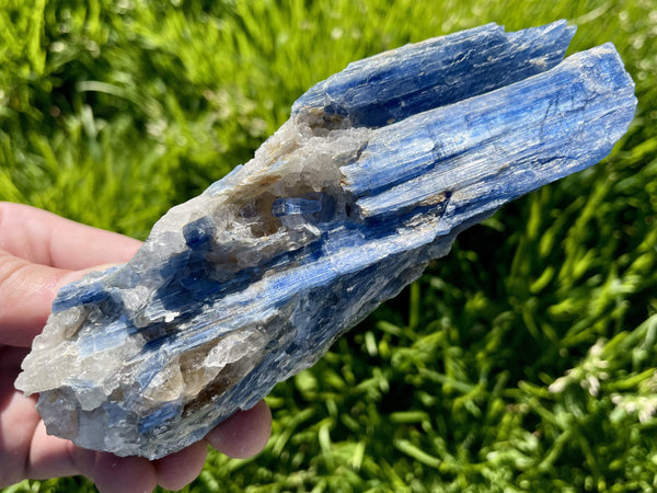 "BLUEBIRD" Kyanite Crystal Specimen HIGH QUALITY Fly Freely