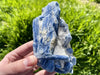 "BLUEBIRD" Kyanite Crystal Specimen HIGH QUALITY Fly Freely