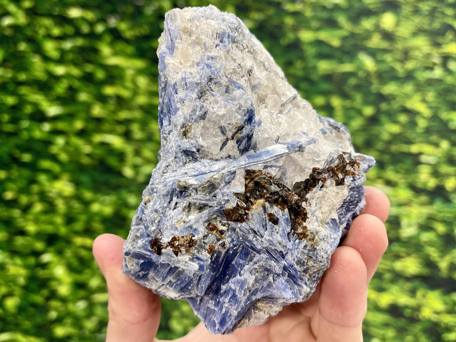 "BLUEBIRD" Kyanite Crystal Specimen HIGH QUALITY Fly Freely