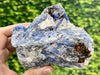 "BLUEBIRD" Kyanite Crystal Specimen HIGH QUALITY Fly Freely