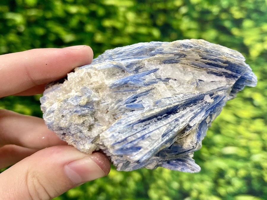 "BLUEBIRD" Kyanite Crystal Specimen HIGH QUALITY Fly Freely