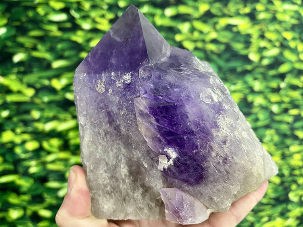 "THE SHOCKER" Huge Bolivian Amethyst Geode Point 6.00 High Quality JP-11