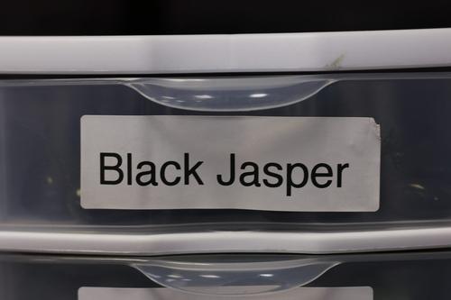 Black Jasper Tumbled Stone-Cosmic Cuts