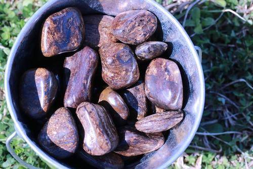 Bronzite Tumbled Stone-Cosmic Cuts