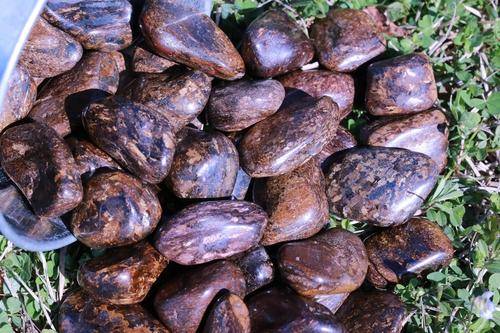 Bronzite Tumbled Stone-Cosmic Cuts