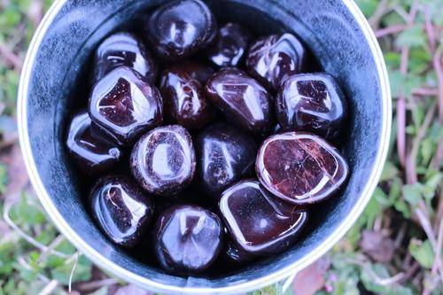 Garnet Tumbled Stone-Cosmic Cuts