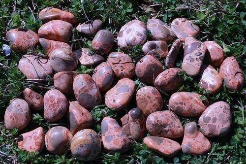 Leopardskin Jasper Tumbled Stone-Cosmic Cuts