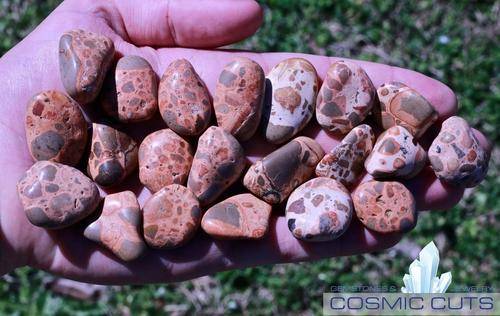 Leopardskin Jasper Tumbled Stone-Cosmic Cuts