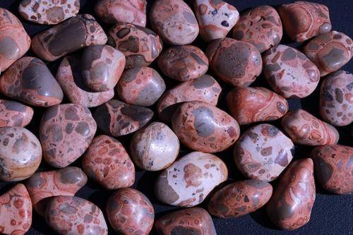 Leopardskin Jasper Tumbled Stone-Cosmic Cuts