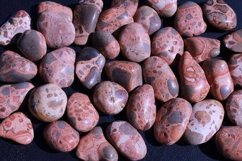 Leopardskin Jasper Tumbled Stone-Cosmic Cuts