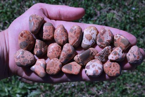 Leopardskin Jasper Tumbled Stone-Cosmic Cuts