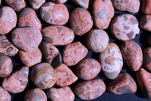 Leopardskin Jasper Tumbled Stone-Cosmic Cuts