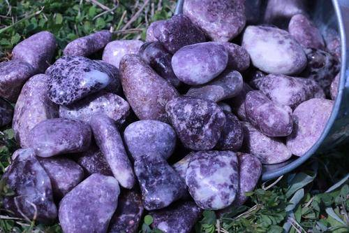 Lepidolite Tumbled Stone-Cosmic Cuts