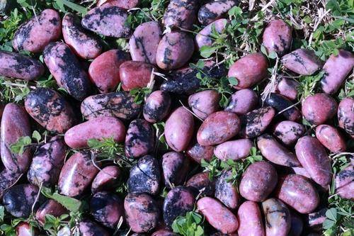 Rhodonite Tumbled Stone-Cosmic Cuts